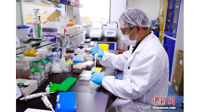 资料图:科研人员在研发新型冠状病毒mRNA疫苗。 汤彦俊 摄