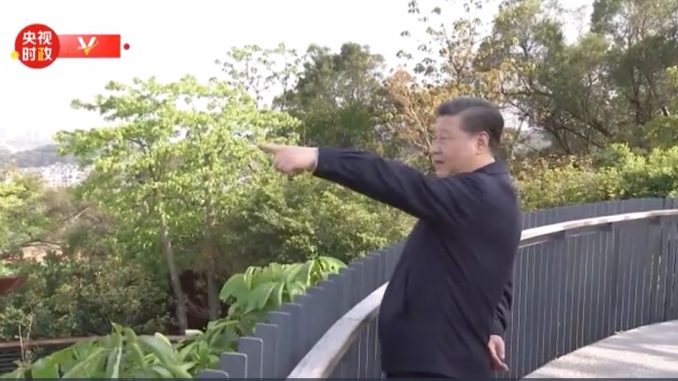 习近平在福州考察调研