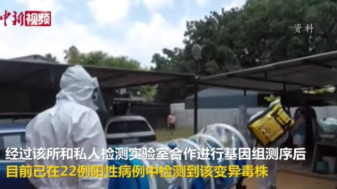 视频截图:中新视频
