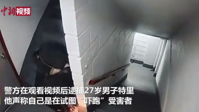 视频截图:中新视频