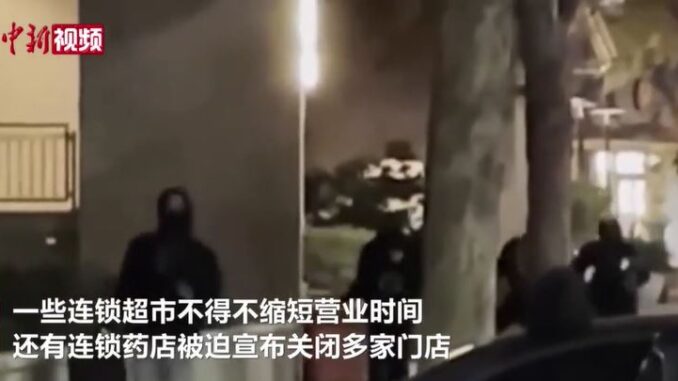 视频截图:中新视频