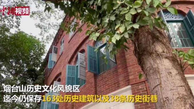 视频截图:中新视频