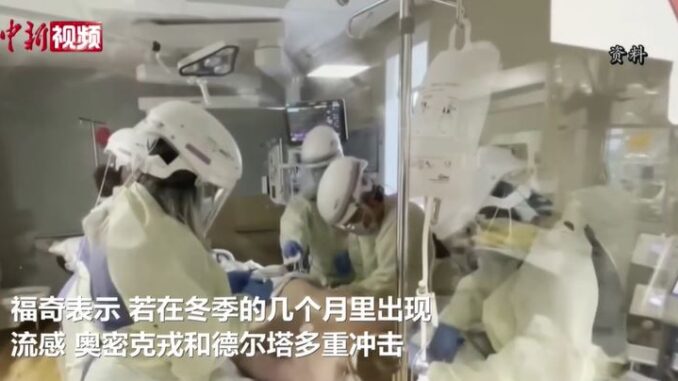 视频截图:中新视频