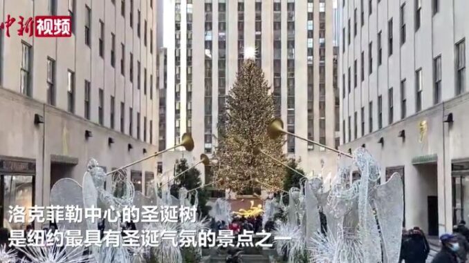 视频截图:中新视频