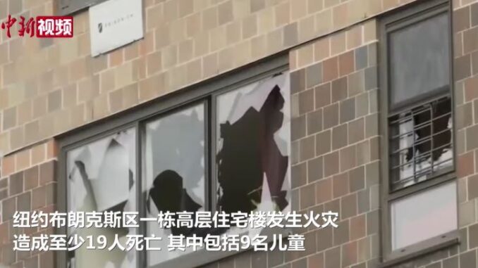 视频截图:中新视频
