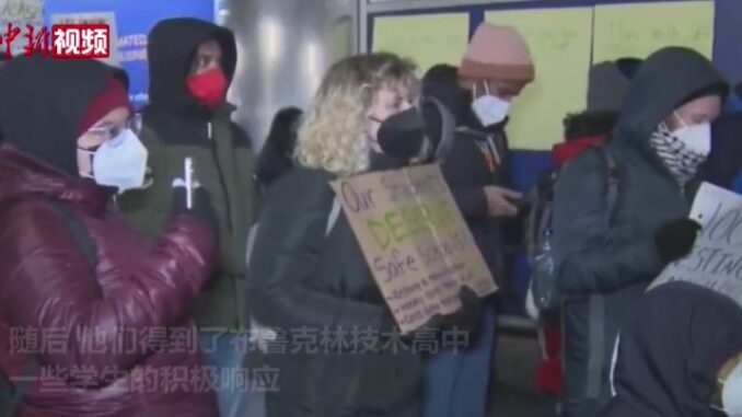 视频截图:中新视频