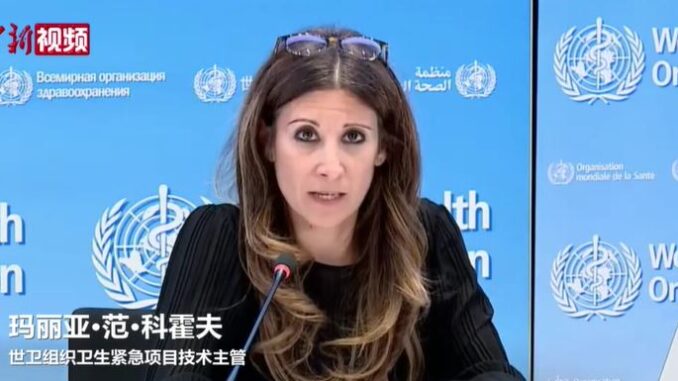 视频截图:中新视频