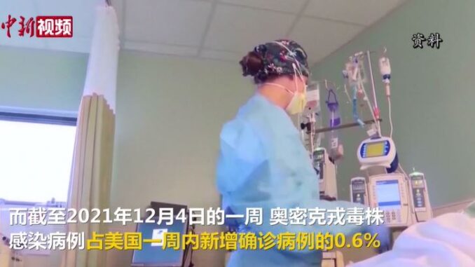 视频截图:中新视频