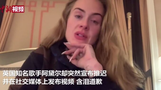 视频截图:中新视频