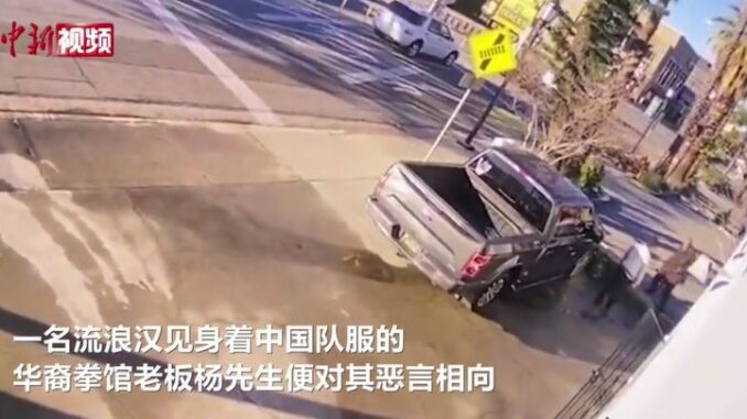 视频截图:中新视频
