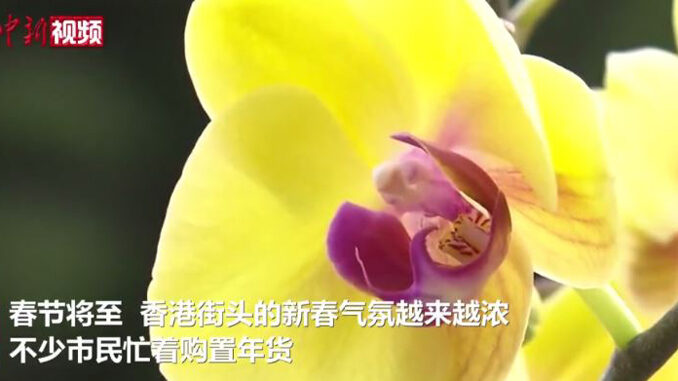 Capture